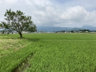 元気をもらった6月_d0137764_11592475.jpeg
