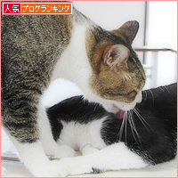 アニキと弟_a0389088_14203770.jpg