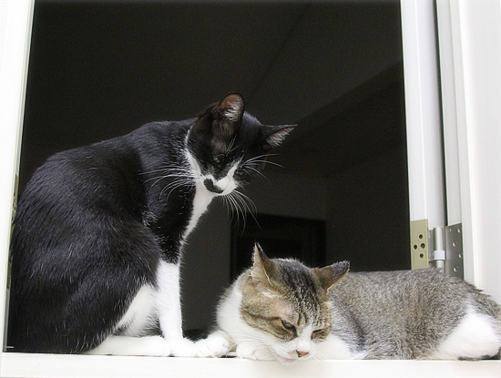 アニキと弟_a0389088_14203790.jpg