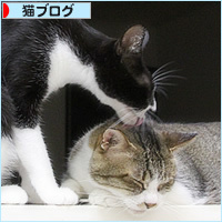 アニキと弟_a0389088_14203799.jpg