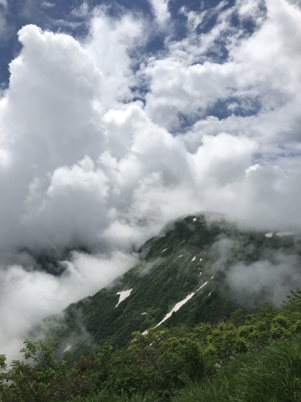 2021年7月3日、守門岳_b0037220_11052446.jpg