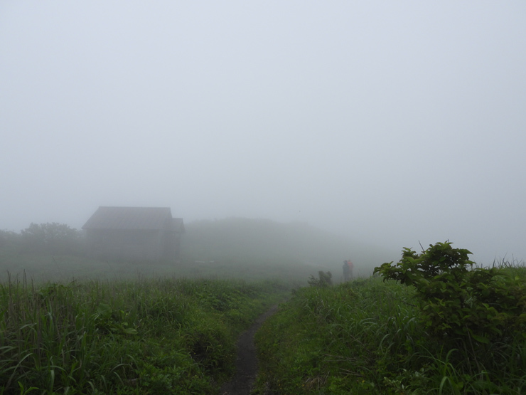 6月29日の三瓶山②_f0214649_12502251.jpg