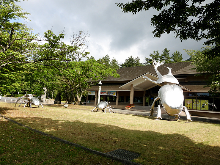 6月29日の三瓶山②_f0214649_14583372.jpg