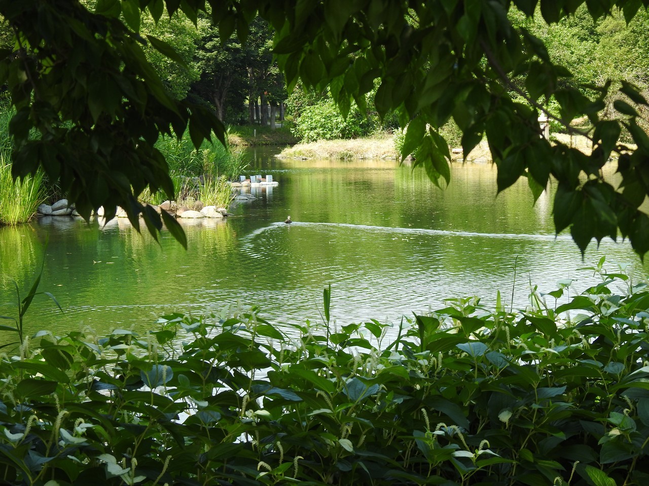 『木曽川水園の風景と鳥と魚と虫と動物達～』_d0054276_19575610.jpg