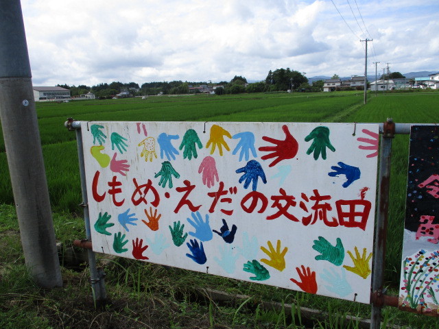 生育調査3回目 令和3年6月30日(下目黒小・枝野小)_d0247484_13454592.jpg