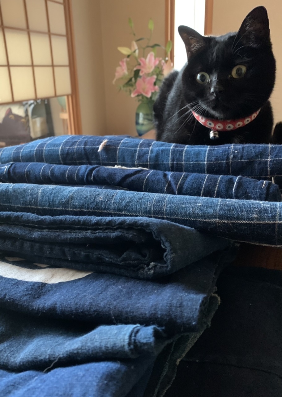 カッコイイプー_e0358096_19232629.jpeg