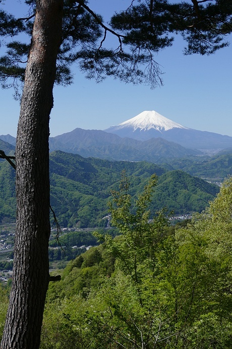 ちょっぴりこたえた百蔵山登山　その7_c0196928_05565043.jpg