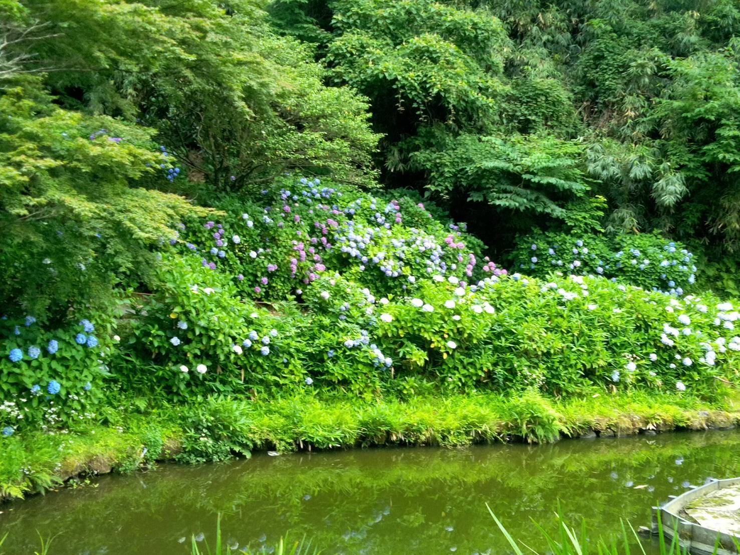 7月に入りました☆_b0140797_17160450.jpeg