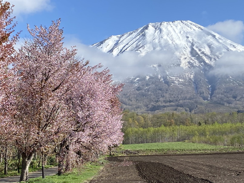 2021年5月 『再び羊蹄山へ シーズン最後のスキー』 May 2021 \"The Last Ski-Run in Mt Yotei\"_c0219616_09583120.jpg