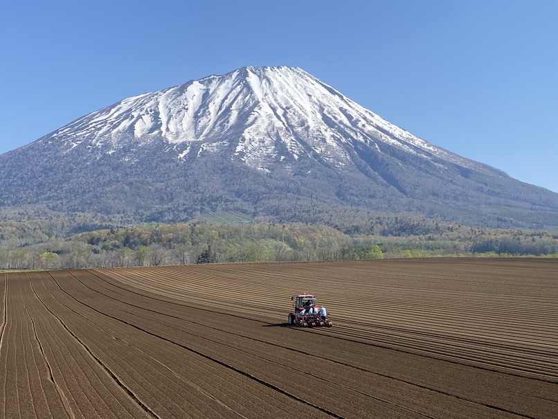2021年5月 『再び羊蹄山へ シーズン最後のスキー』 May 2021 \"The Last Ski-Run in Mt Yotei\"_c0219616_09583204.jpg