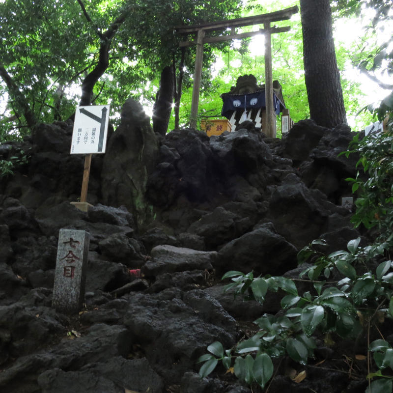 お山開きの最後は江古田富士へ_c0060143_13355910.jpg