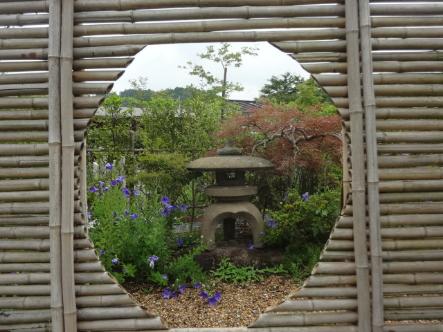 京都府 亀岡「ききょうの里」_a0394046_10103624.jpg