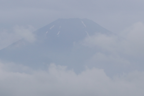 7/7 七夕まつり_e0185893_07522769.jpg