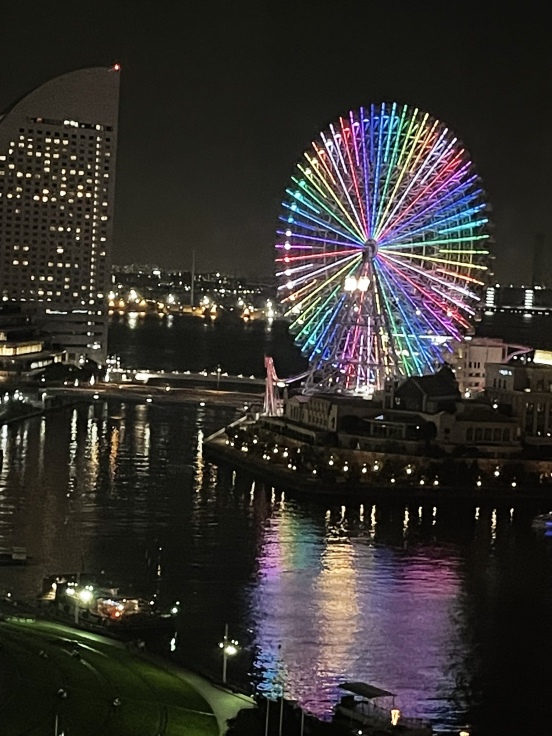 ニューオータニイン横浜プレミアム★観覧車側コーナーツイン_c0212604_20574841.jpeg
