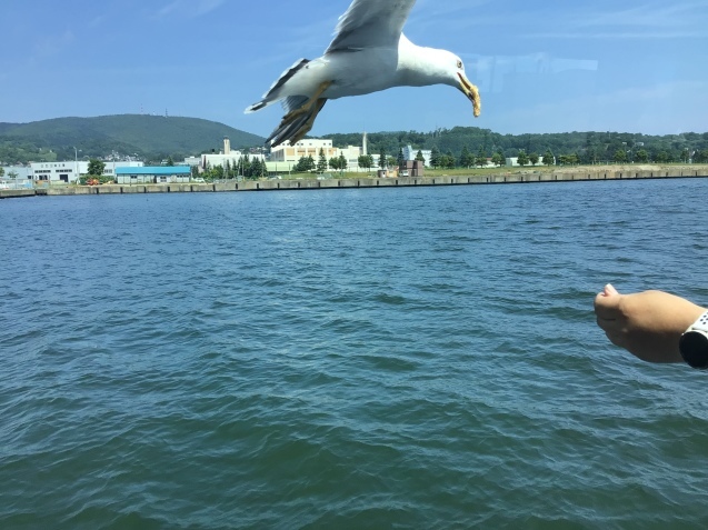 HECC　北海道エコサイクリングクラブ　2021小樽ポタリング日帰りツアー_d0197762_11221250.jpeg