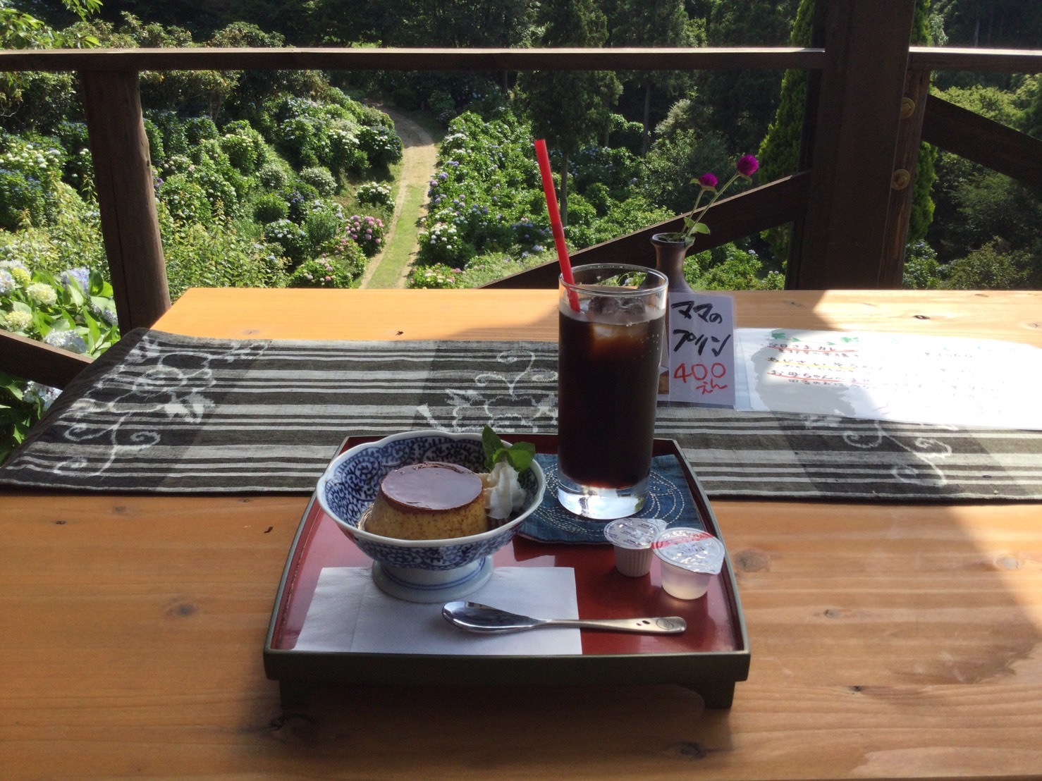 お山のてっぺんは涼しい風が心地よいです。💕_c0280108_00354334.jpg