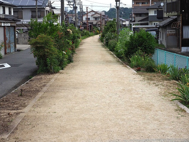 風の道・3/4　(6月30日)_a0242438_19181220.jpg