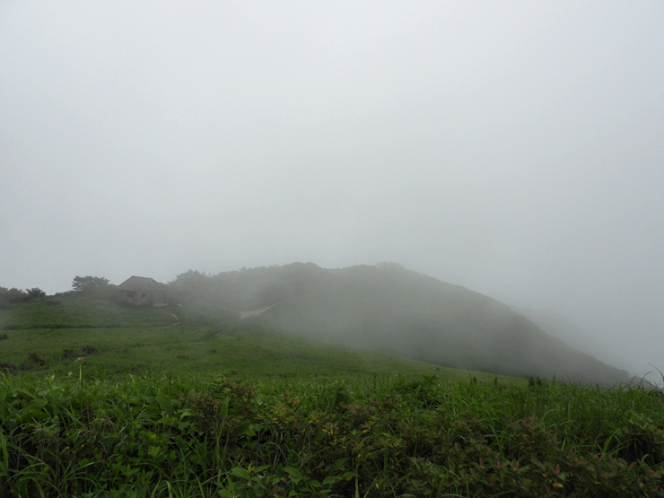 7月2日の三瓶山②_f0214649_09085256.jpg