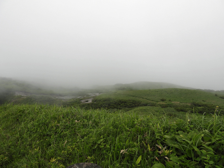 7月2日の三瓶山②_f0214649_09105470.jpg