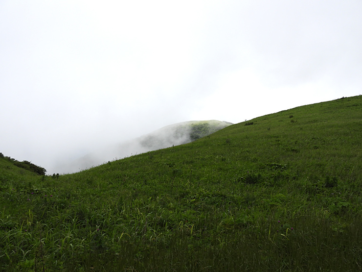7月2日の三瓶山③_f0214649_11282766.jpg