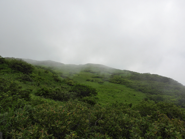 7月2日の三瓶山③_f0214649_14451885.jpg