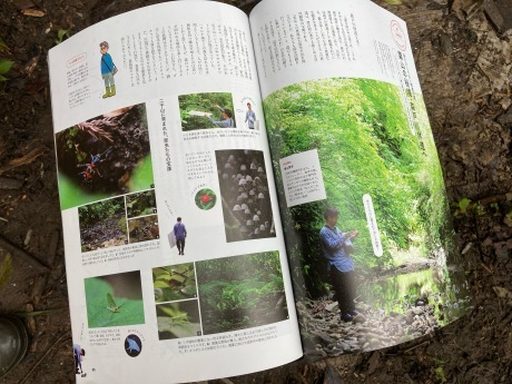 湘南スタイル最新号に森戸川林道が掲載されています_e0256851_22023816.jpeg