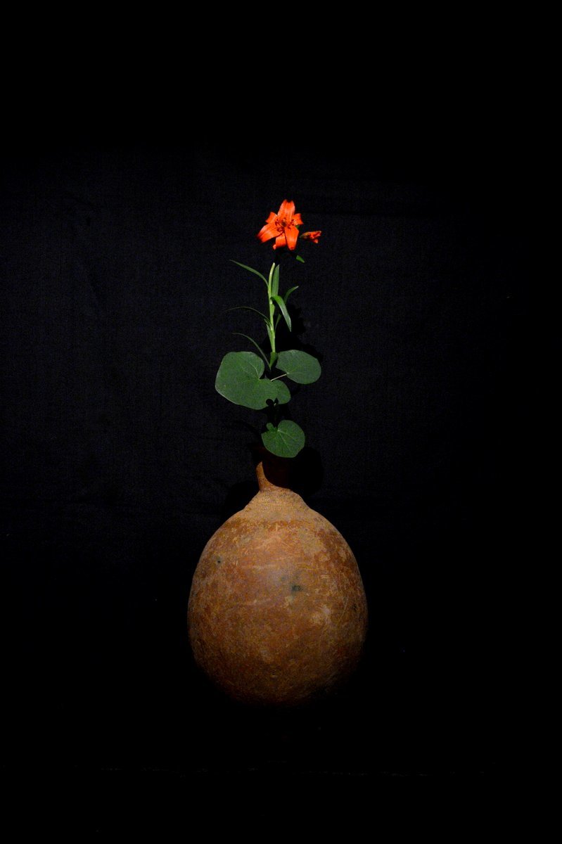「片桐功敦展 花と命」7日目-2_d0087761_14421858.jpg