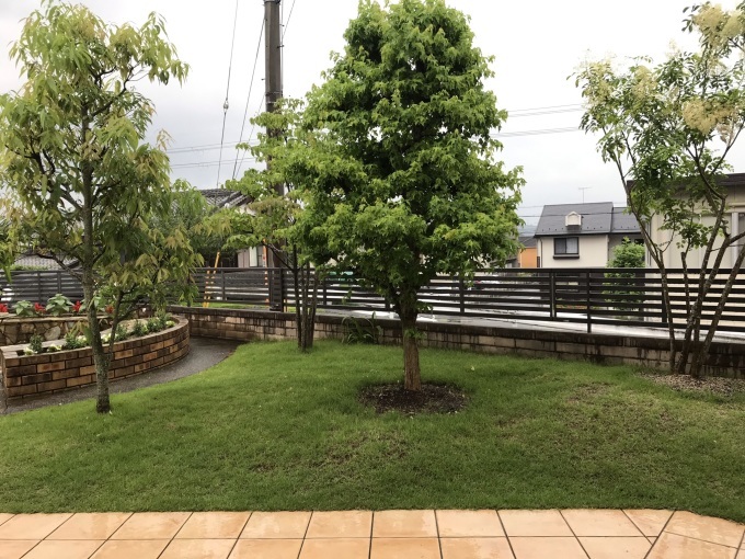 梅雨もまた楽しく_b0100062_14211486.jpeg