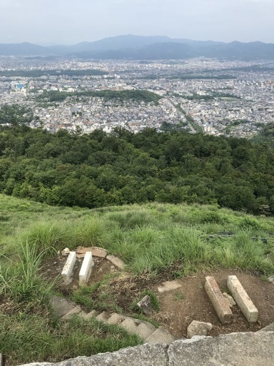 京都府立植物園の森を　壊さないでほしい。_b0159780_16324894.jpg