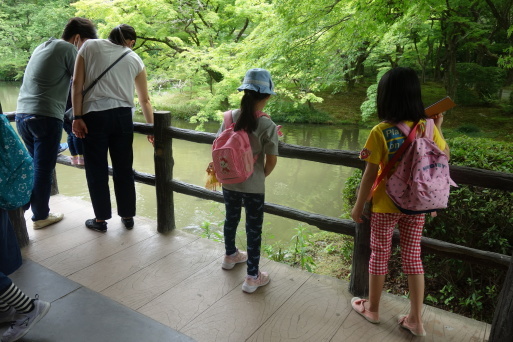 京都府立植物園の森を　壊さないでほしい。_b0159780_18044852.jpg