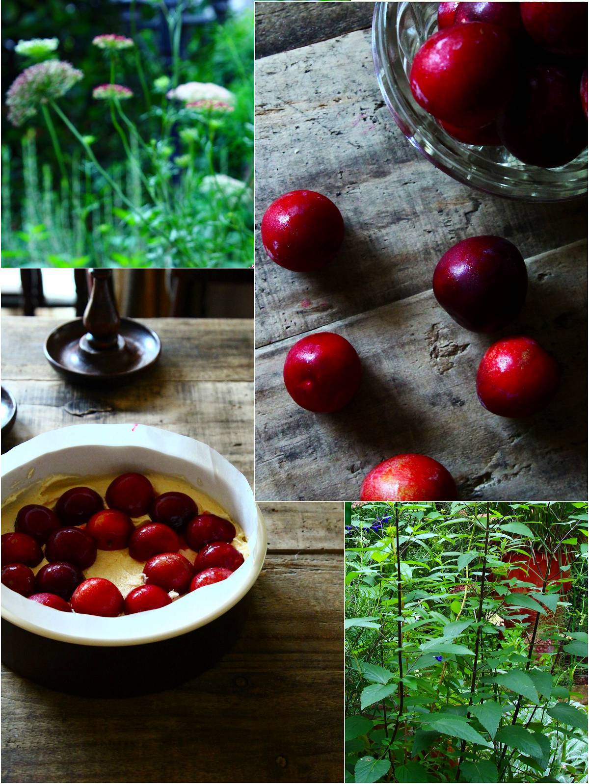 プラムケーキ Galettes And Biscuits イギリス菓子のある毎日
