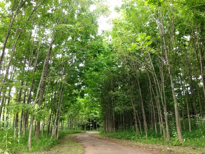 自分がやっていて楽しいことをしたい 枠にとらわれずに表現したい 見知らぬ世界に想いを馳せ 自分がやっていて楽しいことをしたい 枠にとらわれずに表現したい 見知らぬ世界に想いを馳せ