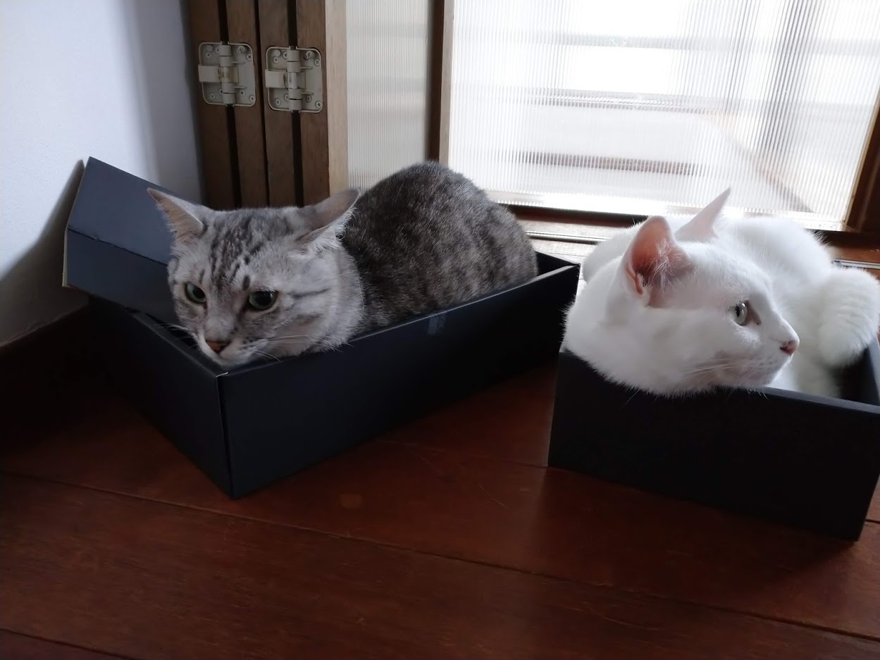 眠い_f0197985_01250446.jpg