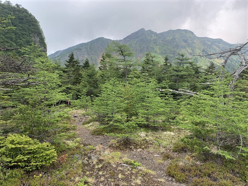 上信越　迷路のような天狗の露地から浅間山群の秘峰 剣ヶ峰へ　　　　　Mount Kengamine in Jōshin\'etsu-kōgen National Park_f0308721_15115676.jpg