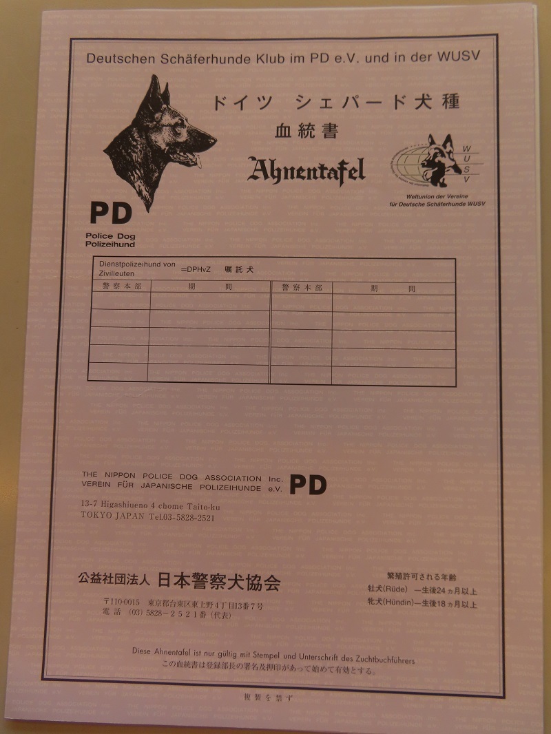 素敵な誕生日_f0076731_19062533.jpg