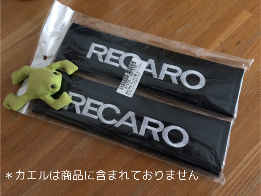 胸が痛い_e0094656_21190613.jpeg