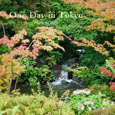 梅雨明けが近そうな、One Day in Tokyo_f0245680_11143730.jpg