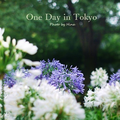 梅雨明けが近そうな、One Day in Tokyo_f0245680_11163311.jpg