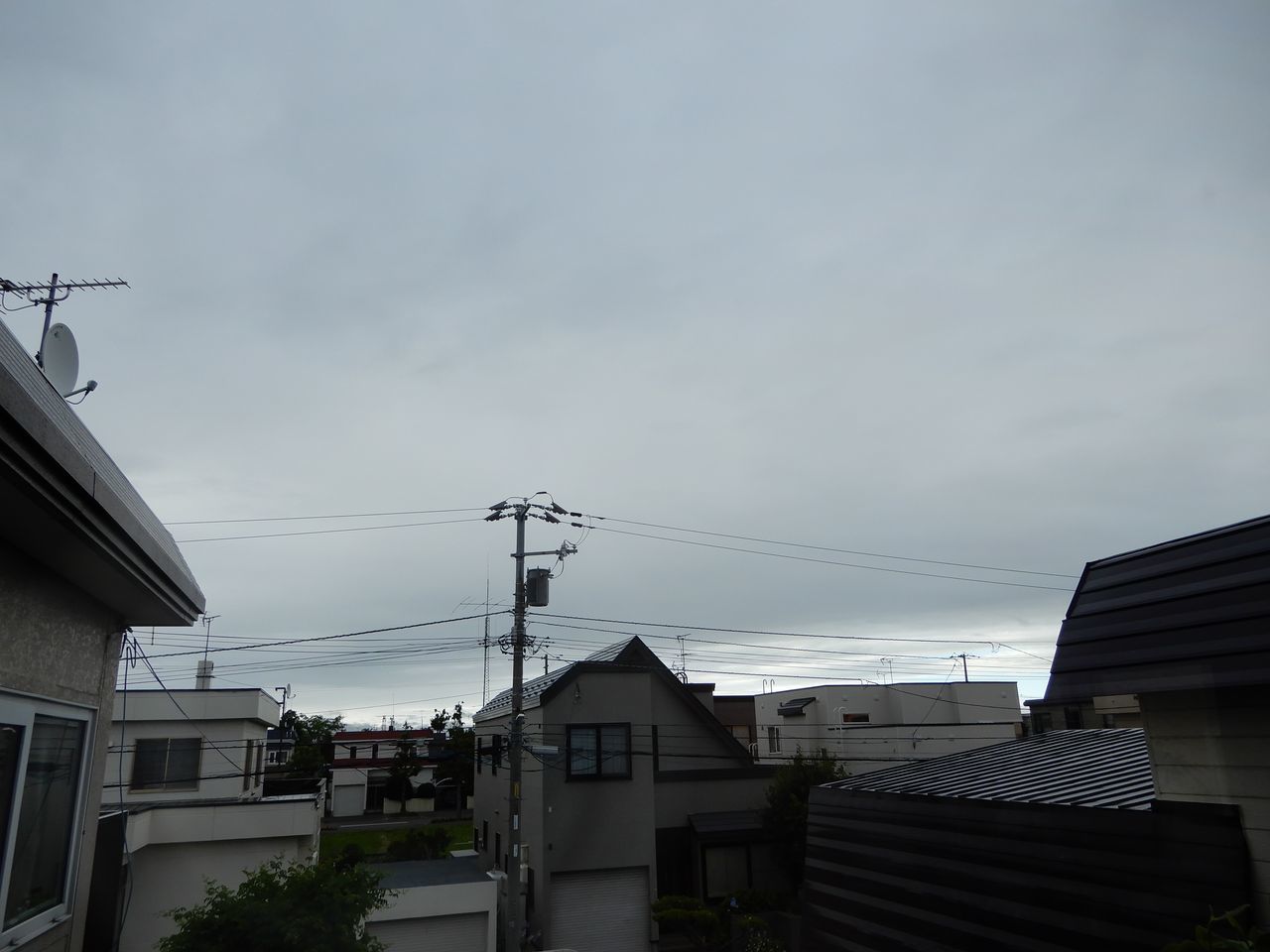メダカの日_c0025115_20374624.jpg