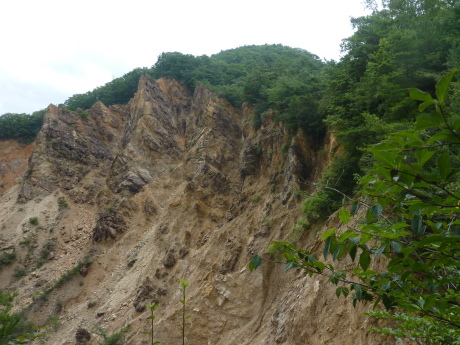 北六甲の静かな尾根を歩く　『白水尾根』_c0218841_12093482.jpg