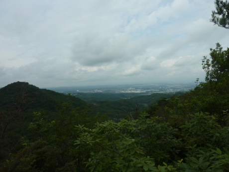 北六甲の静かな尾根を歩く　『白水尾根』_c0218841_12180148.jpg