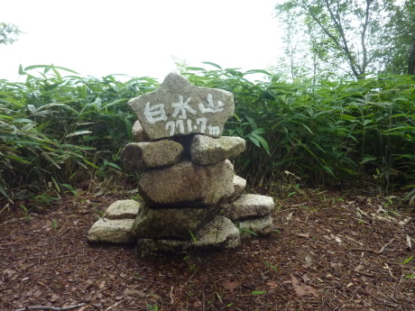 北六甲の静かな尾根を歩く　『白水尾根』_c0218841_12233579.jpg