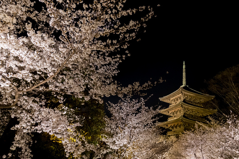 21桜咲く京都 教王護国寺ライトアップ 東寺 花景色 K W C Photoblog