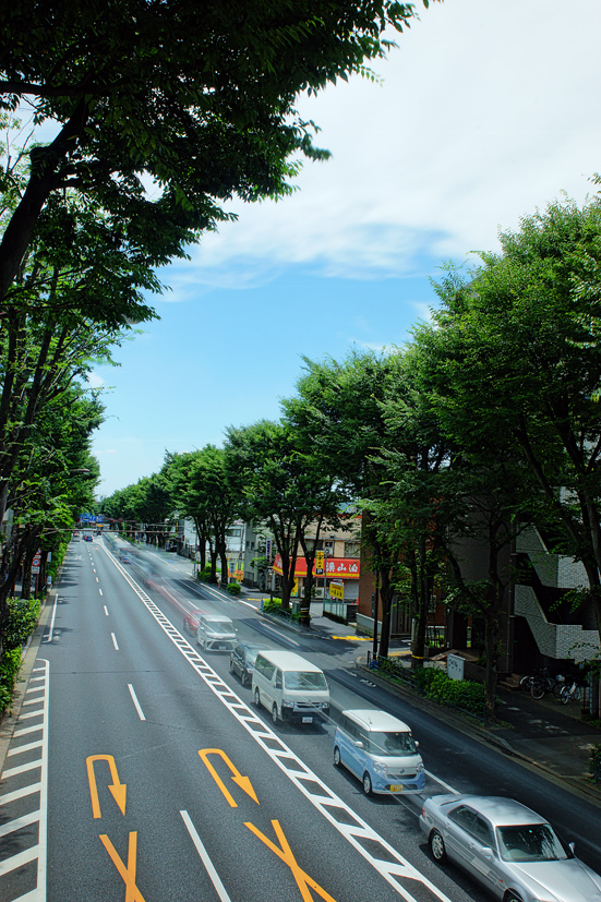 梅雨真っ只中の週末_f0016656_21455930.jpg