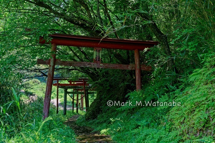 間戸谷稲荷神社_e0135098_08025545.jpg