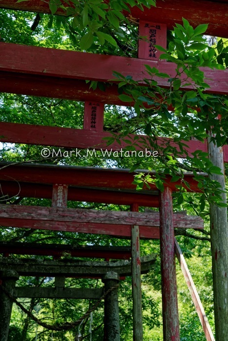 間戸谷稲荷神社_e0135098_08030432.jpg