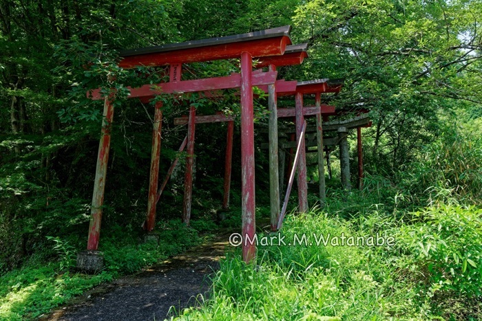 間戸谷稲荷神社_e0135098_08031340.jpg
