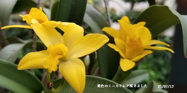 日々の事_c0051105_21572542.jpg