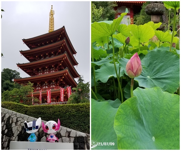 日々の事_c0051105_23211856.jpg