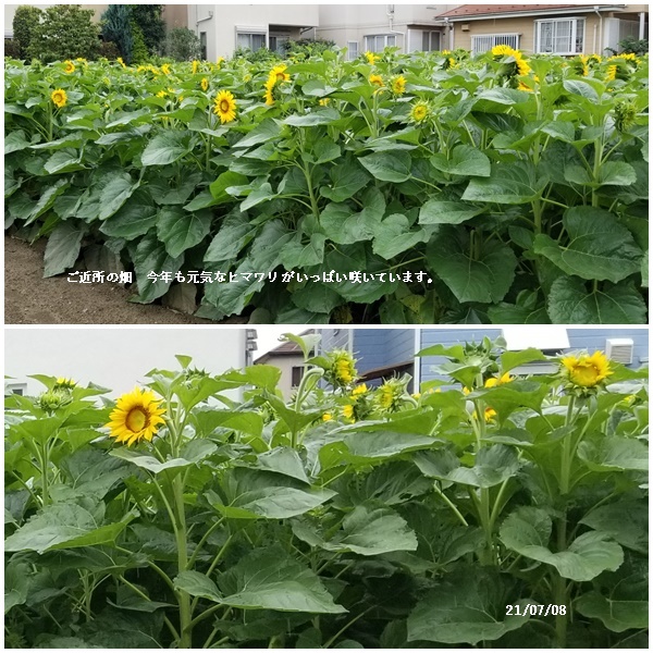 日々の事_c0051105_23385199.jpg